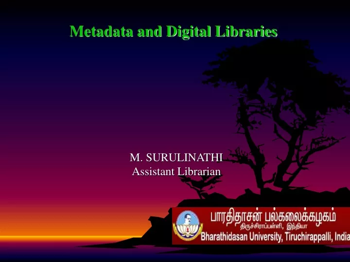 metadata and digital libraries