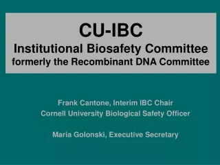 CU-IBC Institutional Biosafety Committee  formerly the Recombinant DNA  Committee