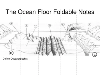 The Ocean Floor Foldable Notes