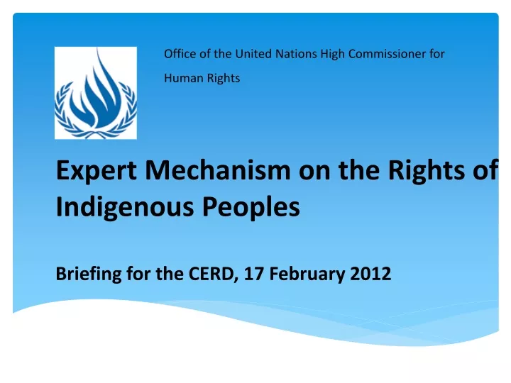 expert mechanism on the rights of indigenous peoples briefing for the cerd 17 february 2012