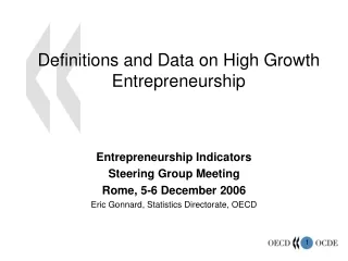 Definitions and Data on High Growth Entrepreneurship