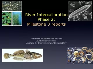 River Intercalibration Phase 2: Milestone 3 reports