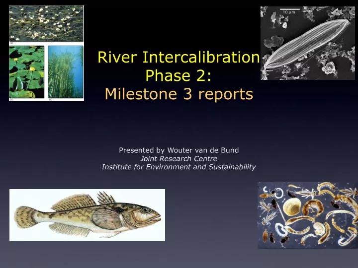 river intercalibration phase 2 milestone 3 reports