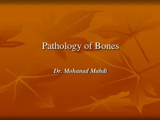 Pathology of Bones Dr.  Mohanad  Mahdi