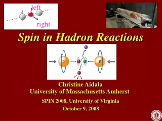 Spin in Hadron Reactions