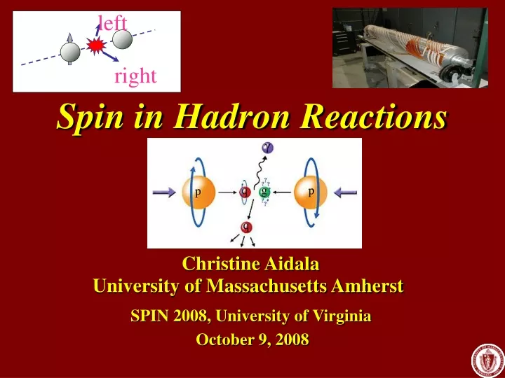 spin in hadron reactions
