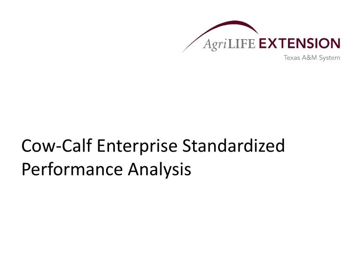 cow calf enterprise standardized performance analysis