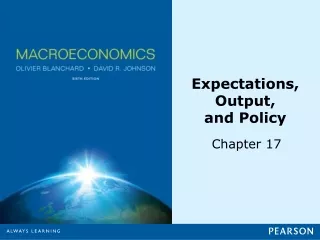 Expectations, Output, and Policy