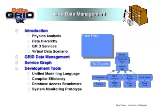 Grid Data Management