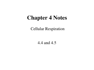 Chapter 4 Notes