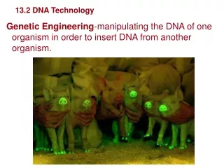 Genetics and Biotechnology