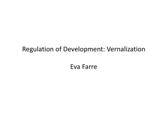 Regulation of Development: Vernalization Eva Farre