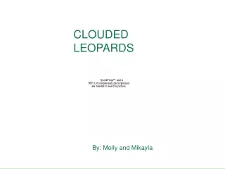 CLOUDED LEOPARDS