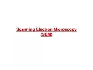 Scanning Electron Microscopy  (SEM)