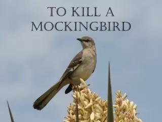 To Kill a Mockingbird