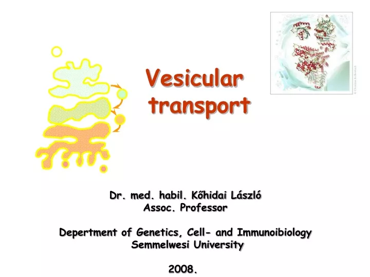 vesicular transport