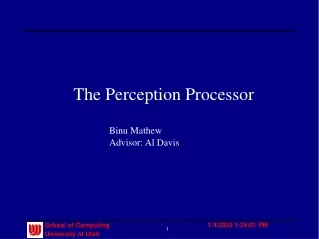 The Perception Processor