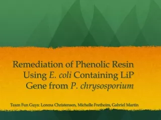 Remediation of Phenolic Resin Using  E. coli  Containing  LiP  Gene from  P.  chrysosporium