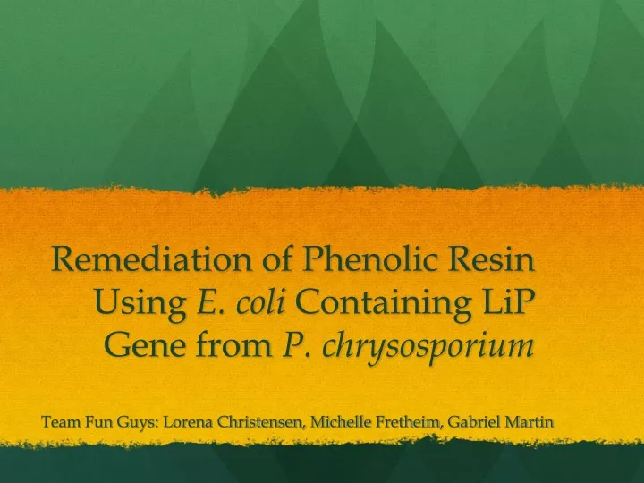 remediation of phenolic resin using e coli containing lip gene from p chrysosporium