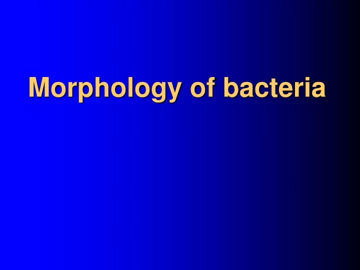 morphology of bacteria
