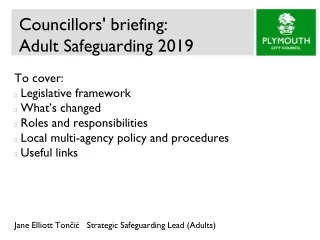 Councillors' briefing:  Adult Safeguarding 2019