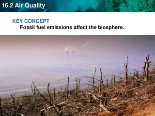 KEY CONCEPT  Fossil fuel emissions affect the biosphere.