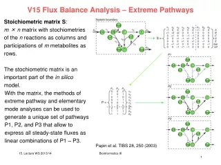 V15 Flux Balance Analysis – Extreme Pathways