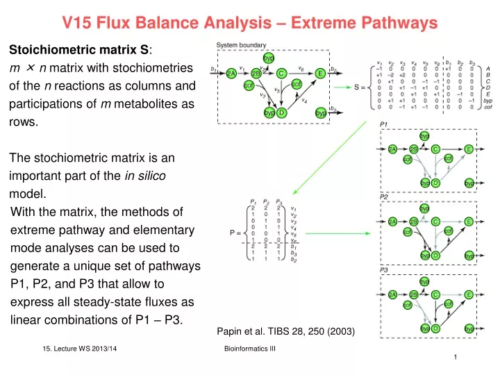 v15 flux balance analysis extreme pathways