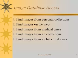 Image Database Access