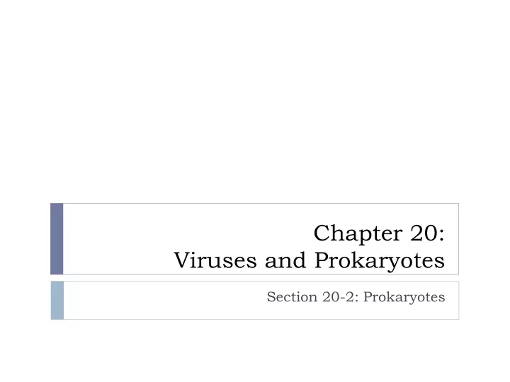 chapter 20 viruses and prokaryotes