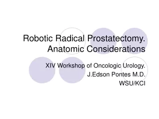 Robotic Radical Prostatectomy. Anatomic Considerations