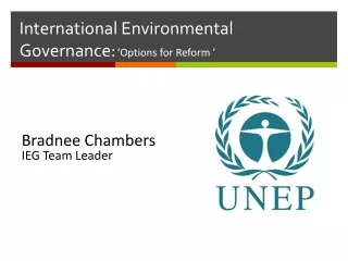 International Environmental Governance: