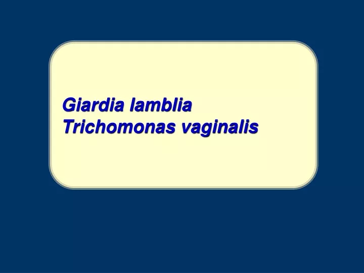 giardia lamblia trichomonas vaginalis
