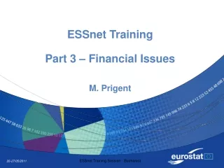 ESSnet Training Part 3 – Financial Issues M. Prigent