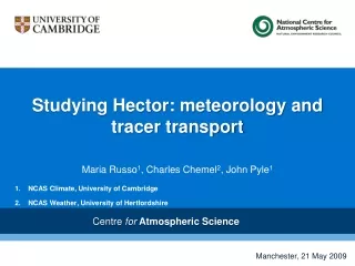 Studying Hector: meteorology and tracer transport