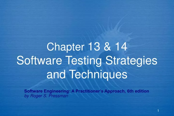 chapter 13 14 software testing strategies and techniques