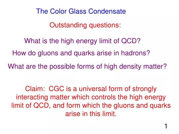 the color glass condensate