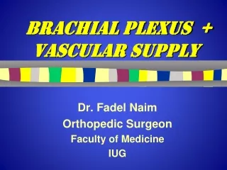 Brachial Plexus  +  Vascular Supply