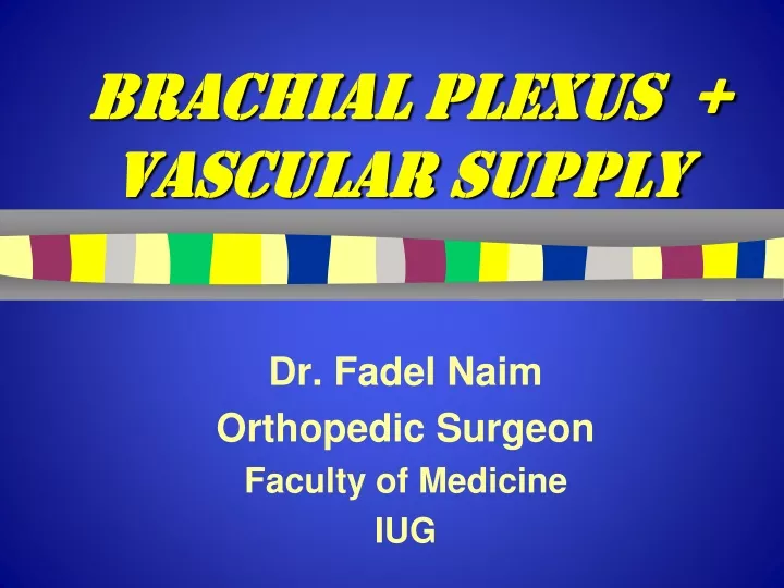 brachial plexus vascular supply
