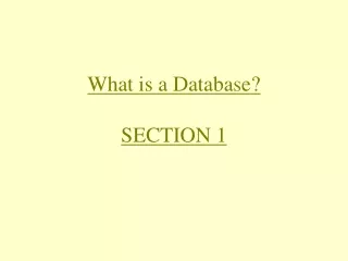 What is a Database? SECTION 1