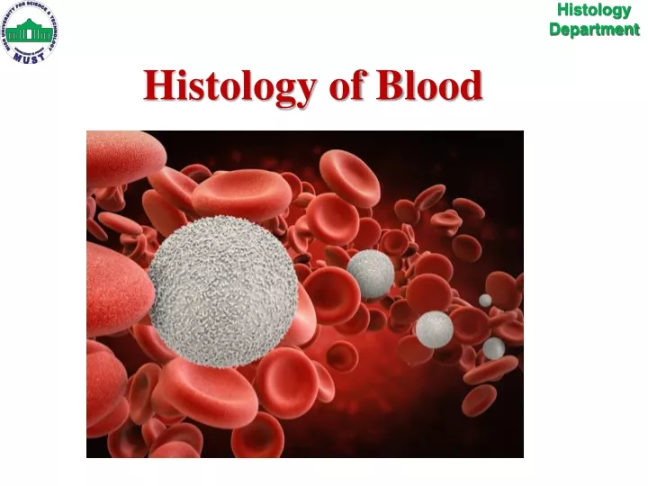 histology of blood