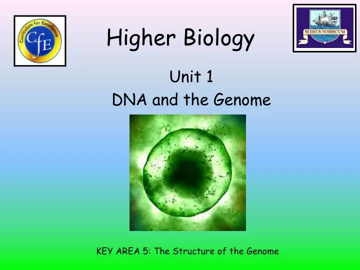 higher biology