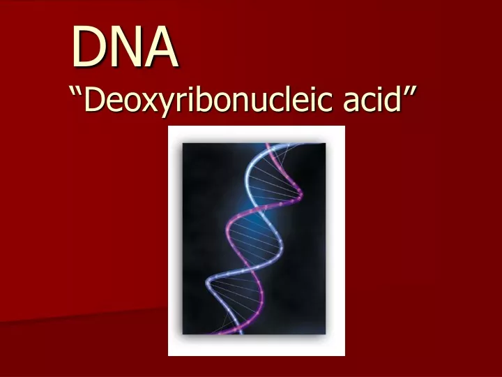 dna deoxyribonucleic acid