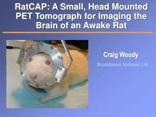 RatCAP: A Small, Head Mounted PET Tomograph for Imaging the Brain of an Awake Rat