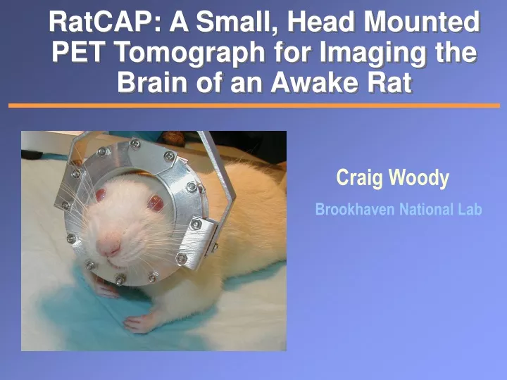 ratcap a small head mounted pet tomograph for imaging the brain of an awake rat