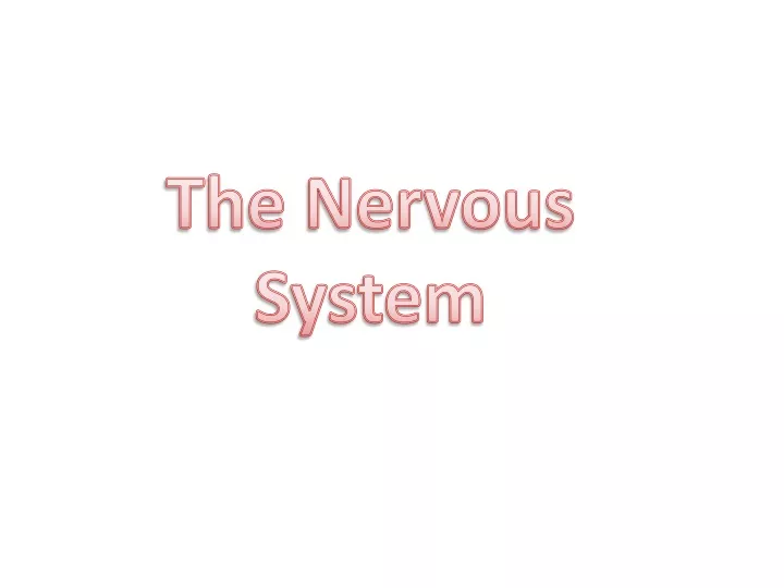 the nervous system