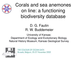 Corals and sea anemones on line: a functioning biodiversity database
