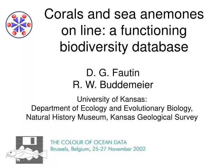 corals and sea anemones on line a functioning biodiversity database