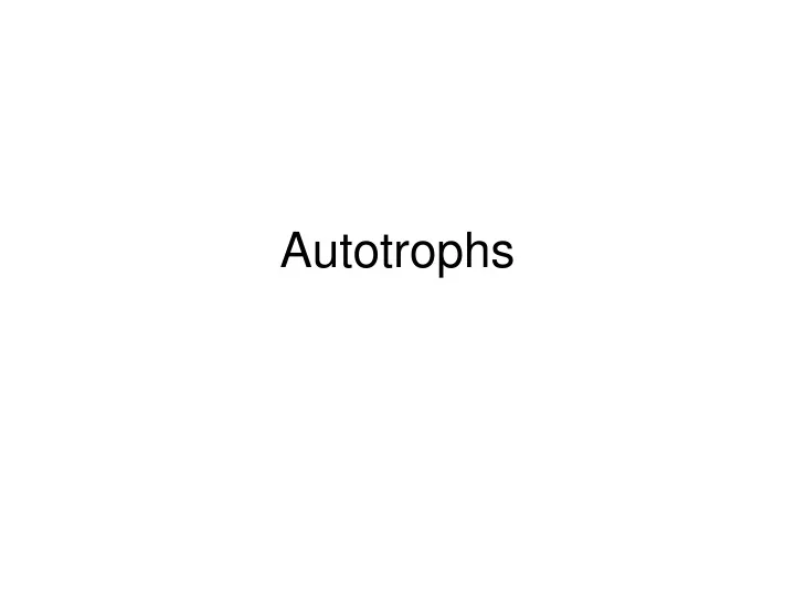 autotrophs
