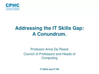 Addressing the IT Skills Gap:  A Conundrum.